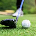 Golf at Vineyard National (Renault Winery)