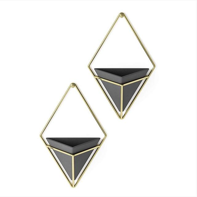 Umbra Trigg Hanging Planter Wall Decor Set, for Displaying Small Plants, Pens and Pencils, Makeup Accessories, Black/Brass