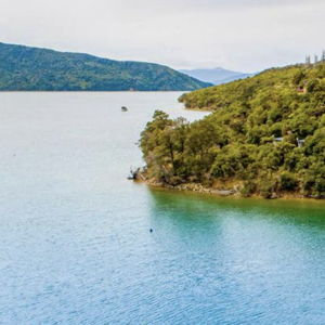 Full Day Walk Ship Cove to Furneaux Lodge
