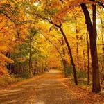 University of Wisconsin-Madison Arboretum