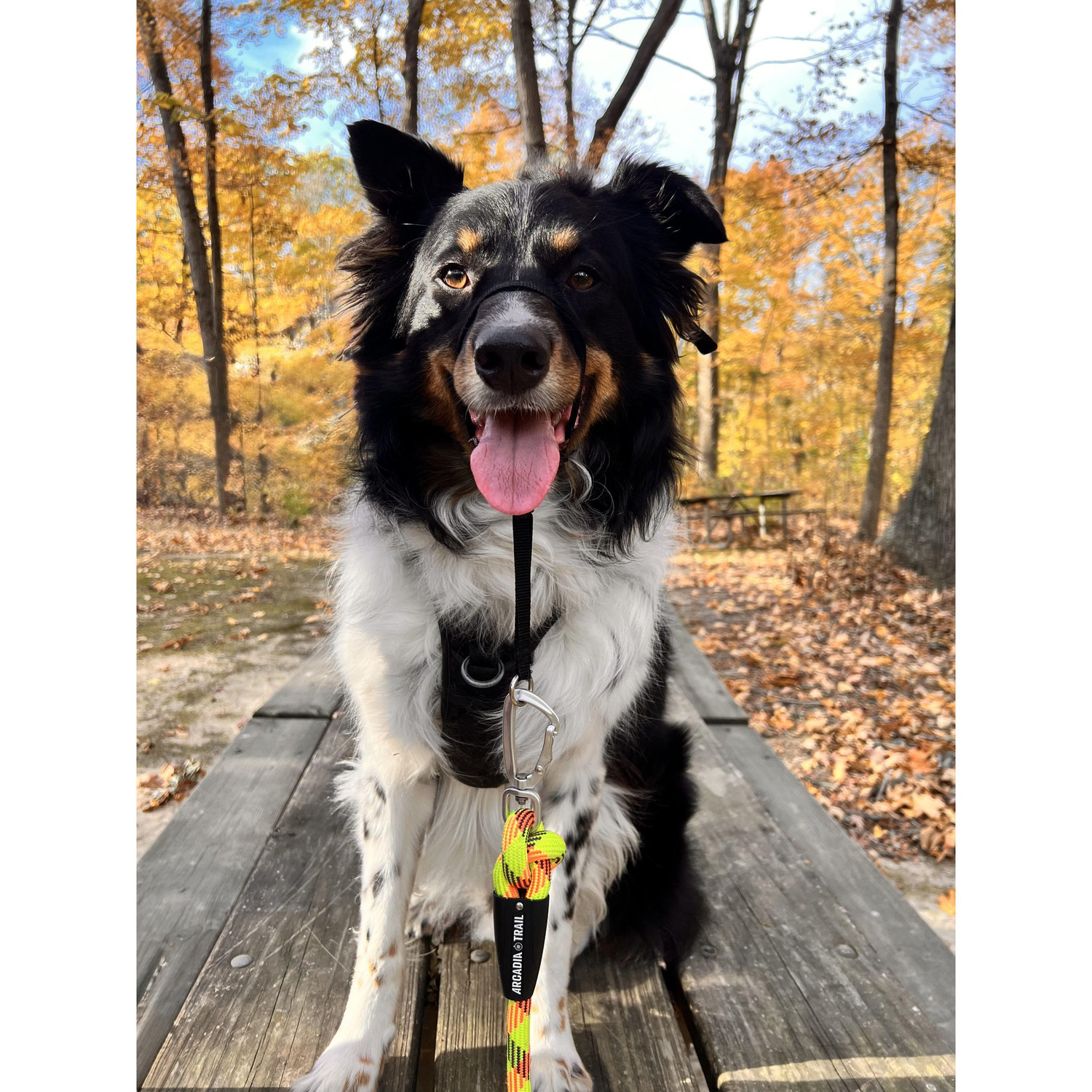 Hike in the woods, Miami Whitewater Forest Lake, Ohio.
