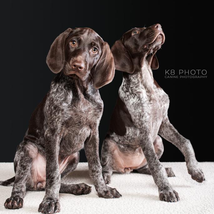 K8 Photo - Photography of Avery & Maddux
