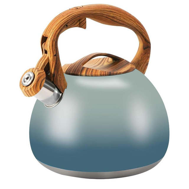 Foedo Tea Pot, 3.2Qt Tea Kettle Stovetop, Food Grade Stainless Steel Tea Kettle,Suitable for Various Heat Sources,One-Button Switch (Grayish Blue Gradient)