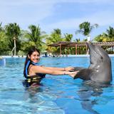 Dolphin Encounter in Maroma, Riviera Maya