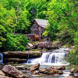 Canaan Valley Resort State Park