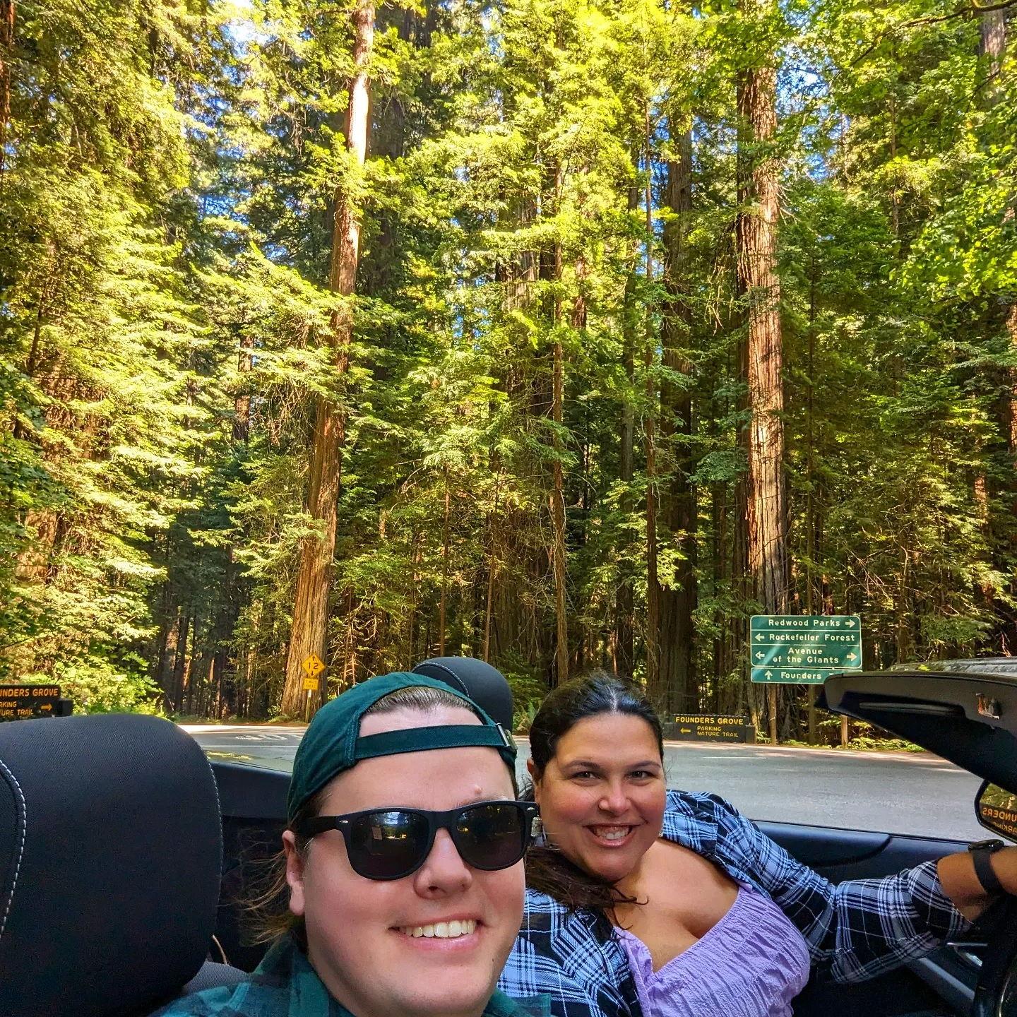 Driving through the Redoods on our Seattle to San Francisco road trip