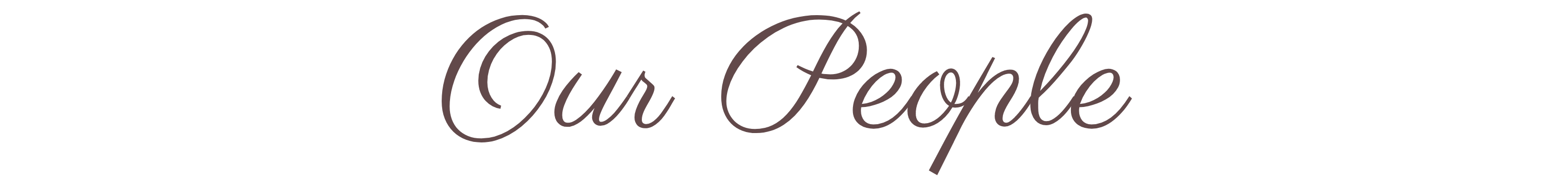 The Wedding Website of Bre Vergess and Carey Appeldorn