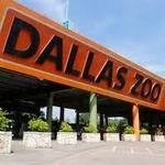 Dallas Zoo