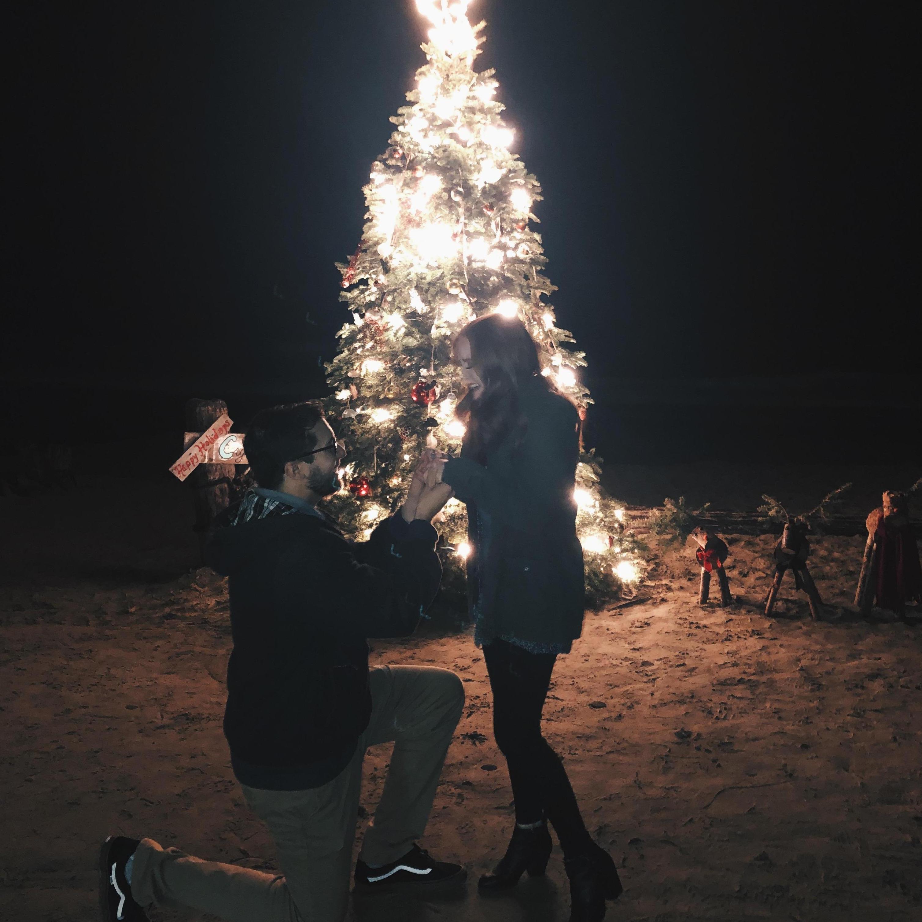 The proposal at a beach in Crystal Cove