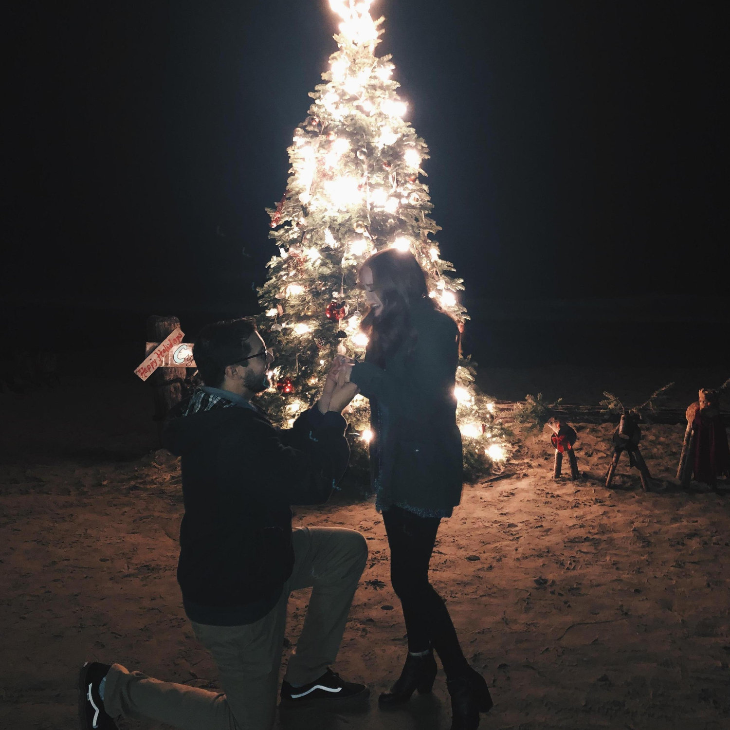 The proposal at a beach in Crystal Cove