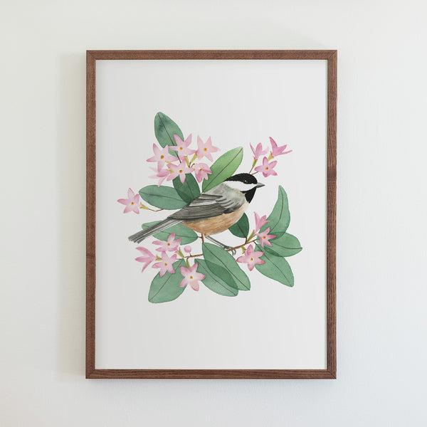 Massachusetts Black-Capped Chickadee Print (18x24)