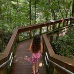 Devil's Millhopper Geological State Park