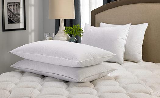 Hilton Feather & Down Pillow (Queen/Firm)