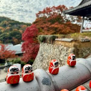 Minoo Falls and Katsuoji Temple Day Trip