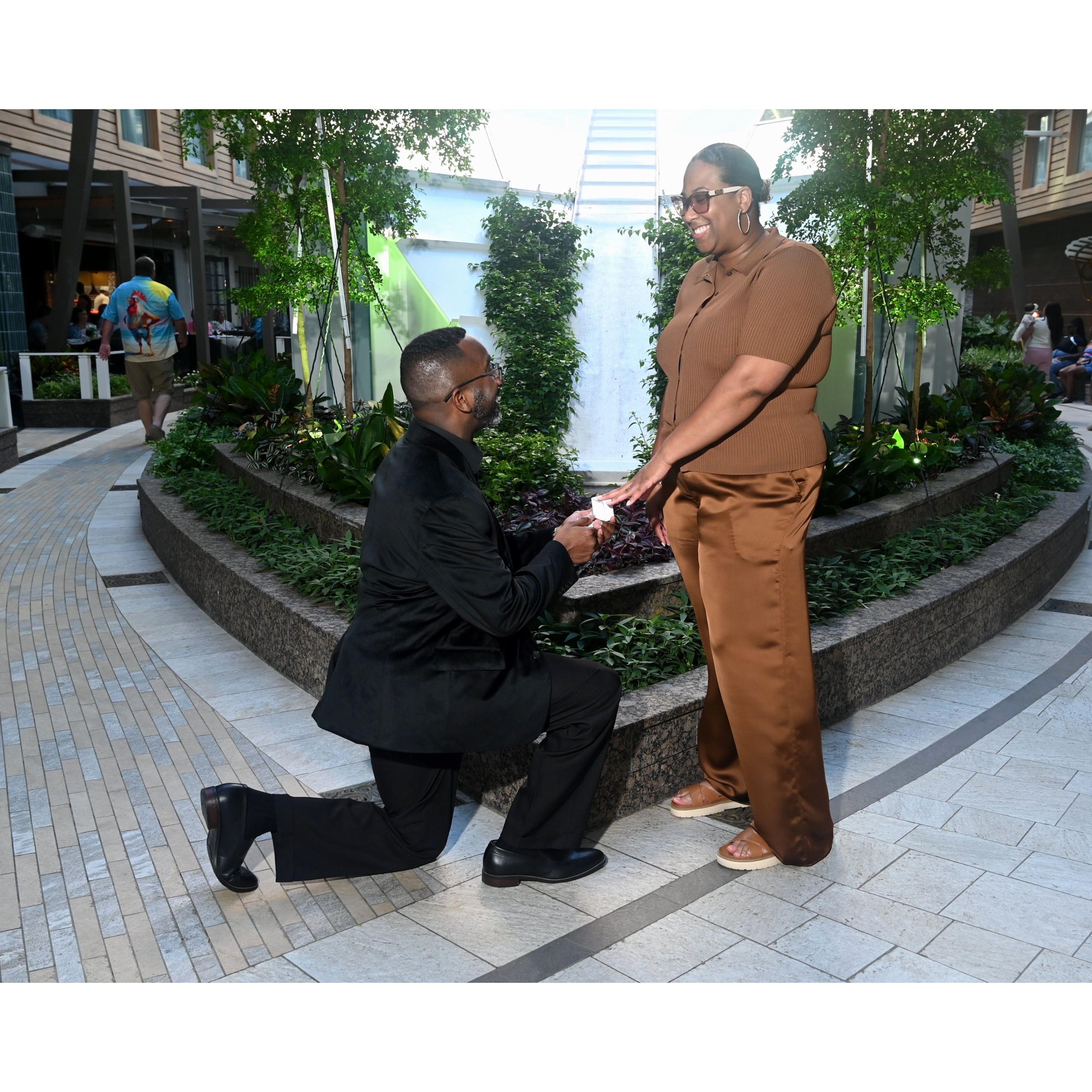 Proposal in Central Park