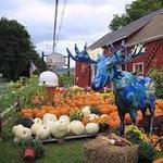 Apple Barn