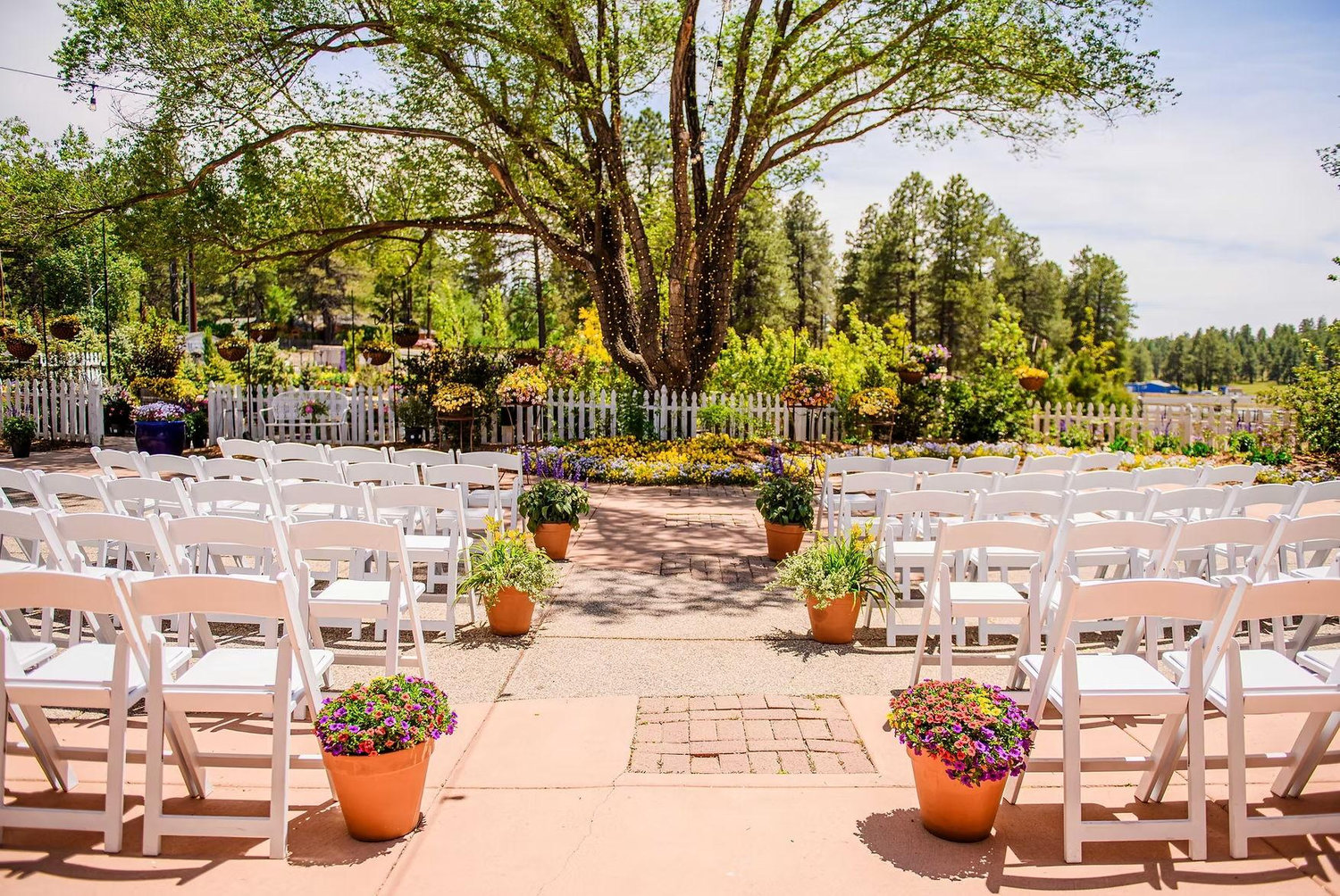 The Wedding Website of Collin Cramer and Liz Flores