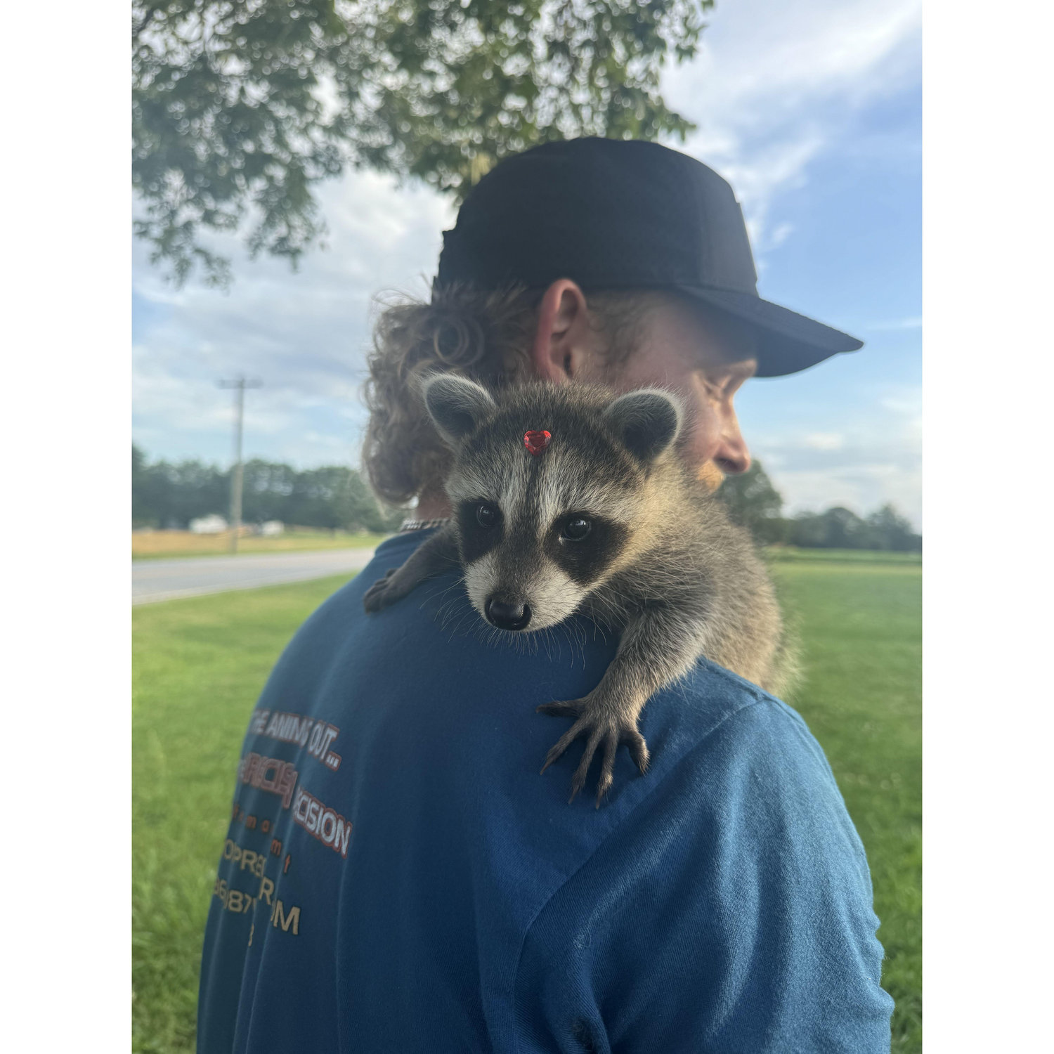 meeko <3