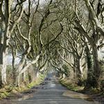 GAME OF THRONES TOUR