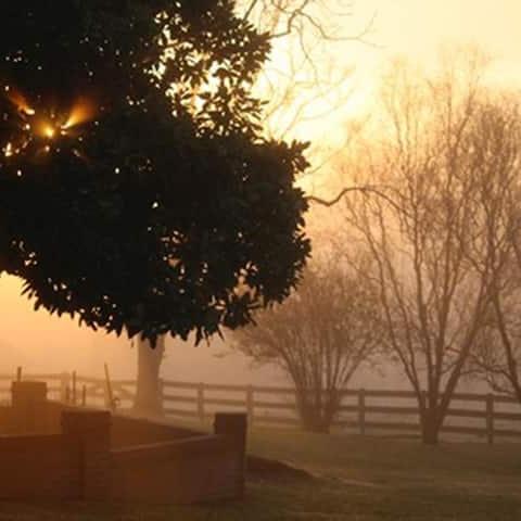 Athlone Farm, Amherst, VA