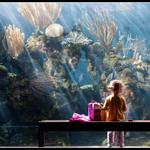 Bermuda Aquarium, Museum & Zoo