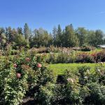 Manito Park