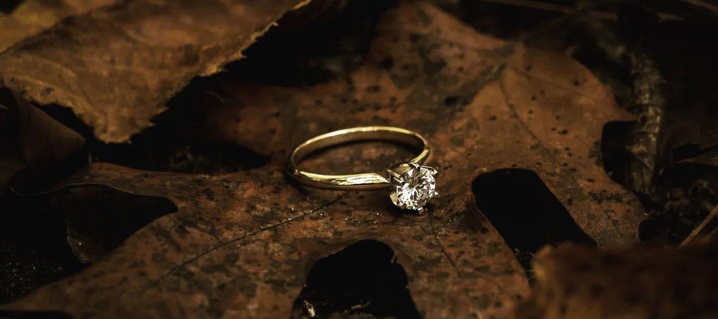 The Wedding Website of Leah Perreault and Hannan Seguin