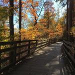 Saunders-Monticello Trail