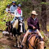 Yosemite Trails Horseback Adventures