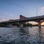 Congress Avenue Bridge