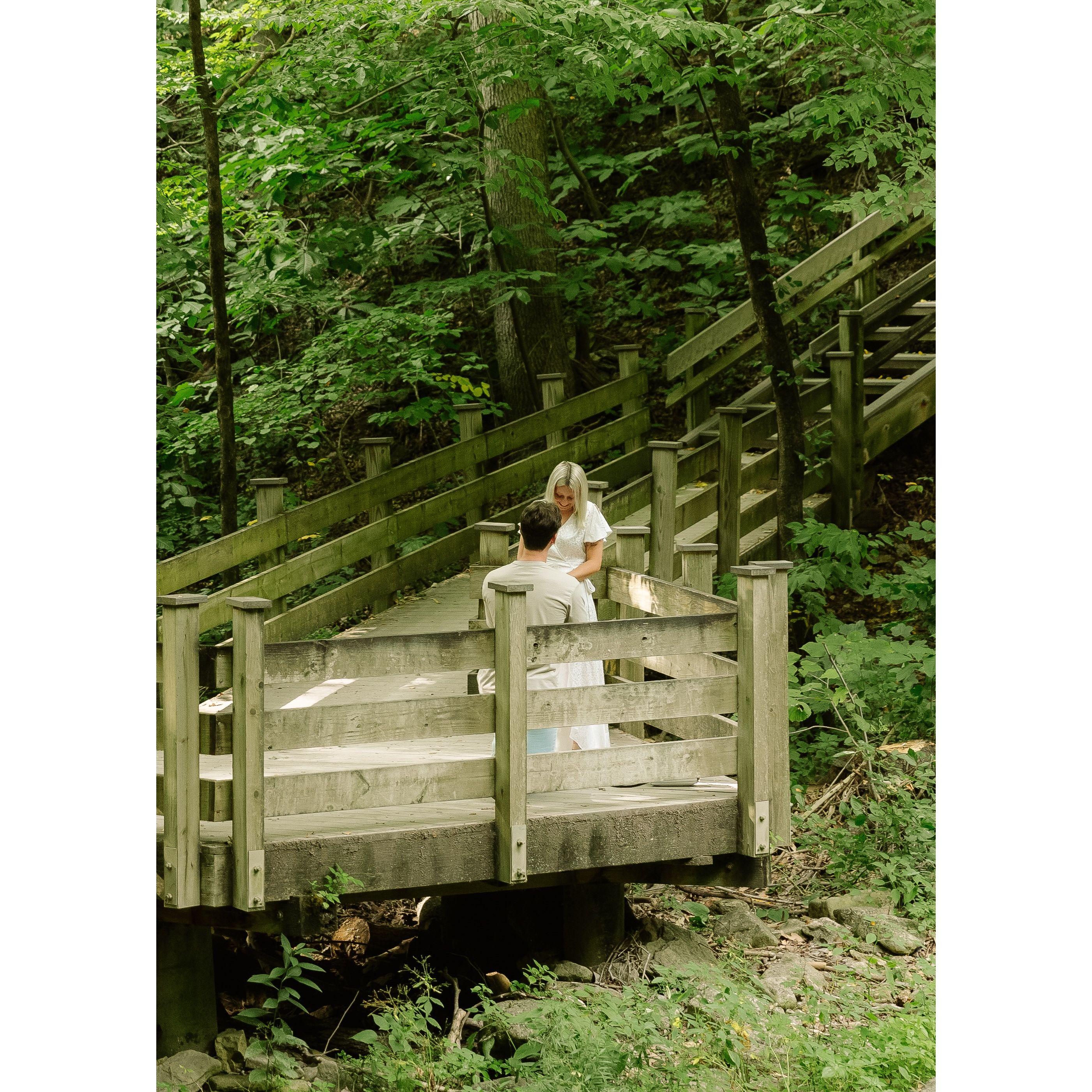 The moment Paige said yes 08-15-2024