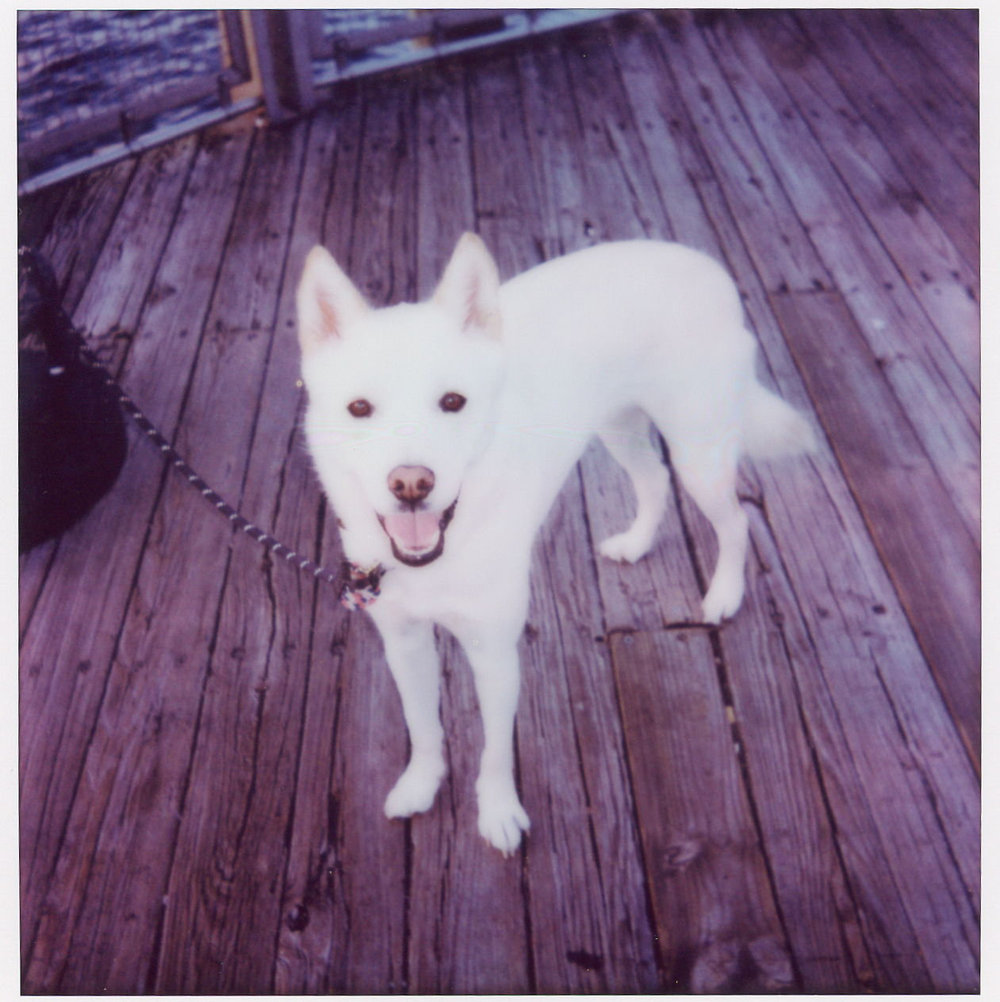 Hero Image 2