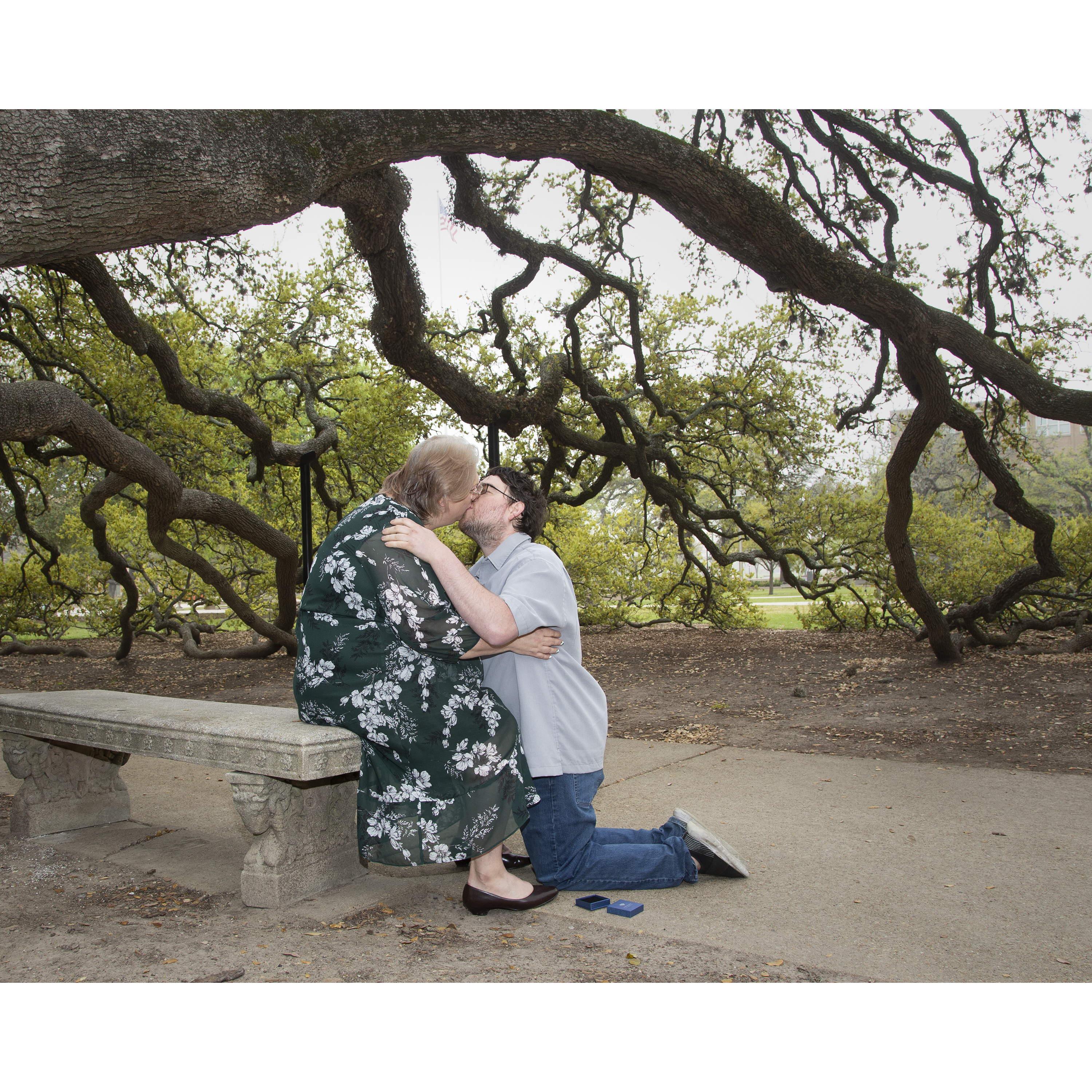 Smooching under the Century Tree