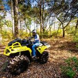 The Swamp Park- Zip Line and ATV Center