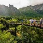 Kirstenbosch Gardens (Child Friendly)