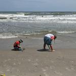 Galveston Beach