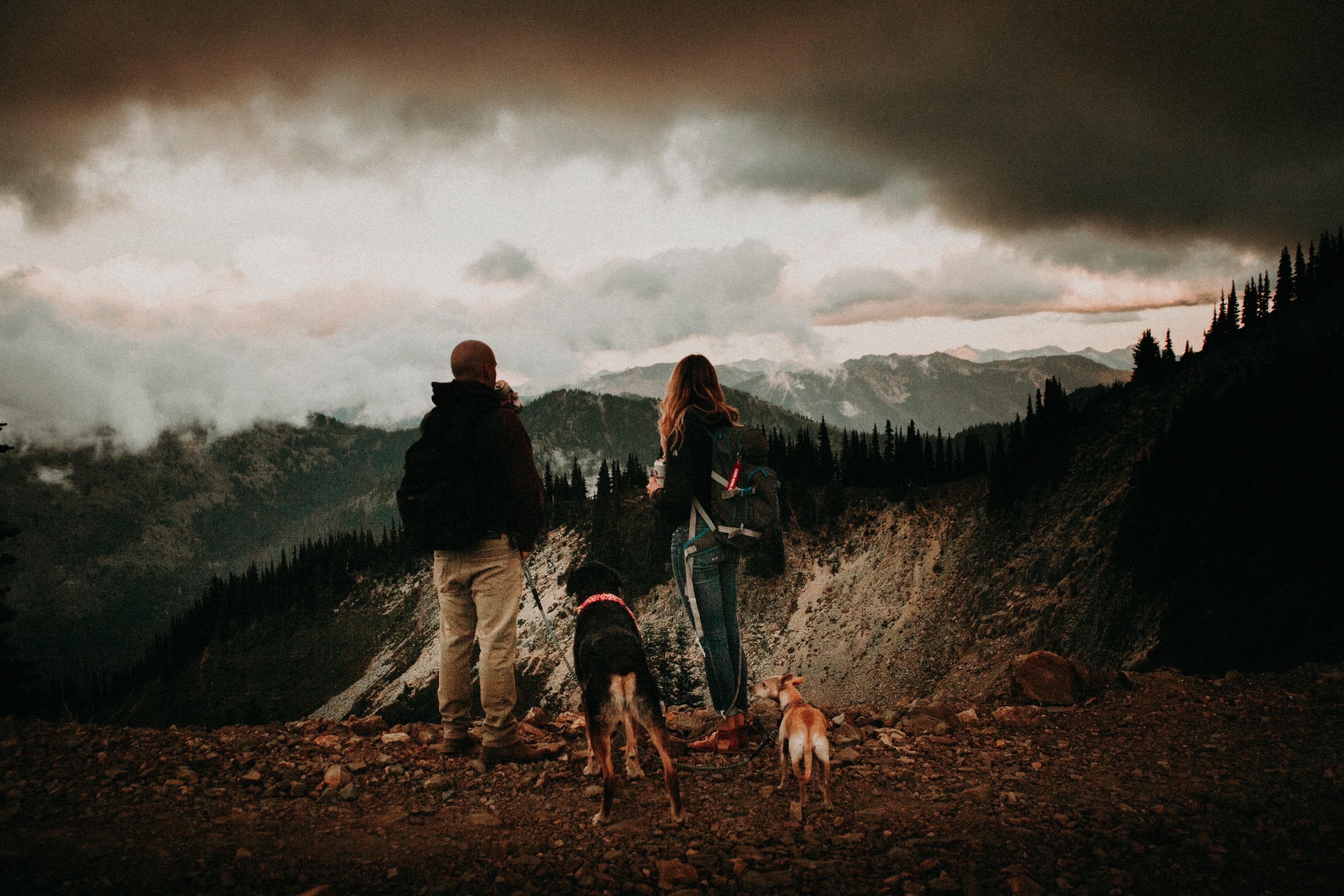 The Wedding Website of Mackenzie Wolfe and Austin Harrington