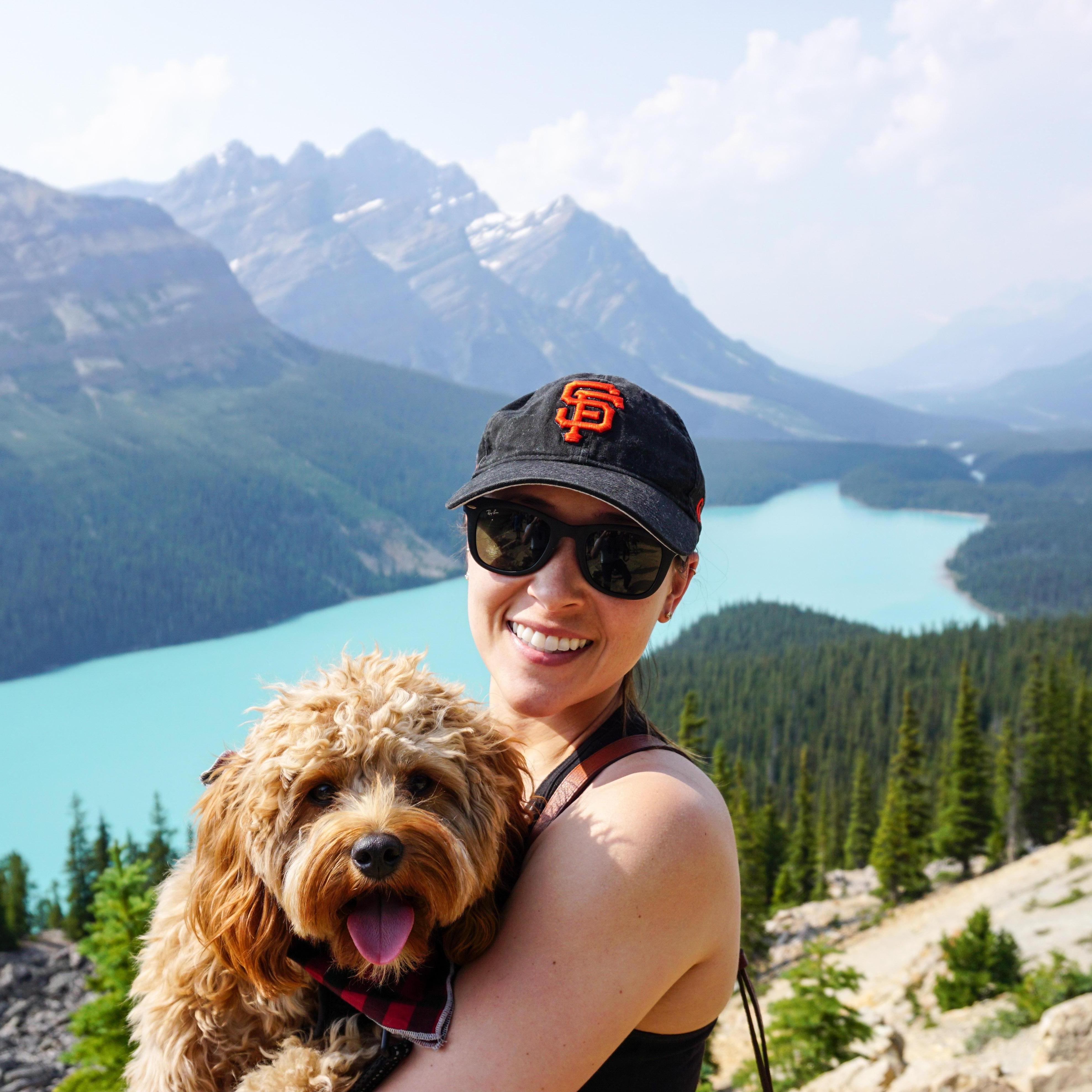 Remy does his first roadtrip!