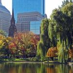 Boston Public Garden