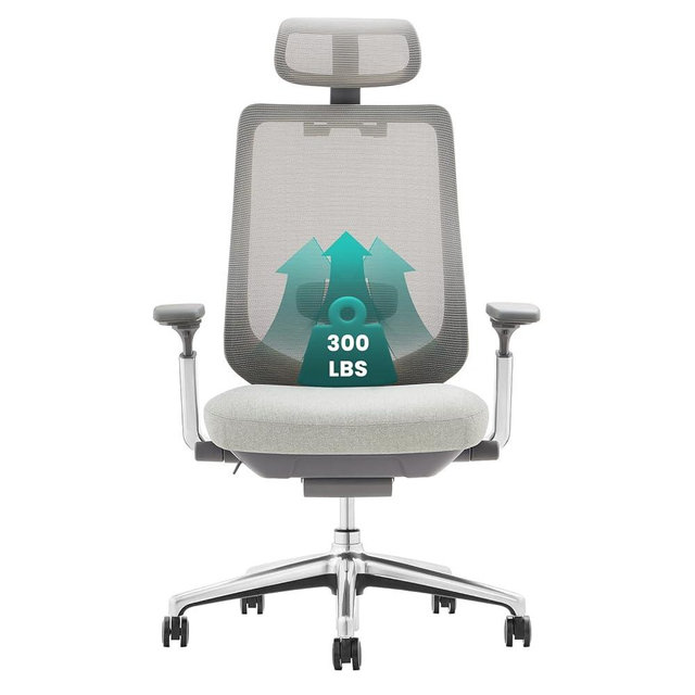 COLAMY Ergonomic Mesh Office Chair, High Back Computer Executive Desk Chair with Adjustable Headrest and 4D Arms, Slide Seat, Tilt Lock-Light Grey