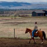 Horseback Riding at Lost Horse Lodge