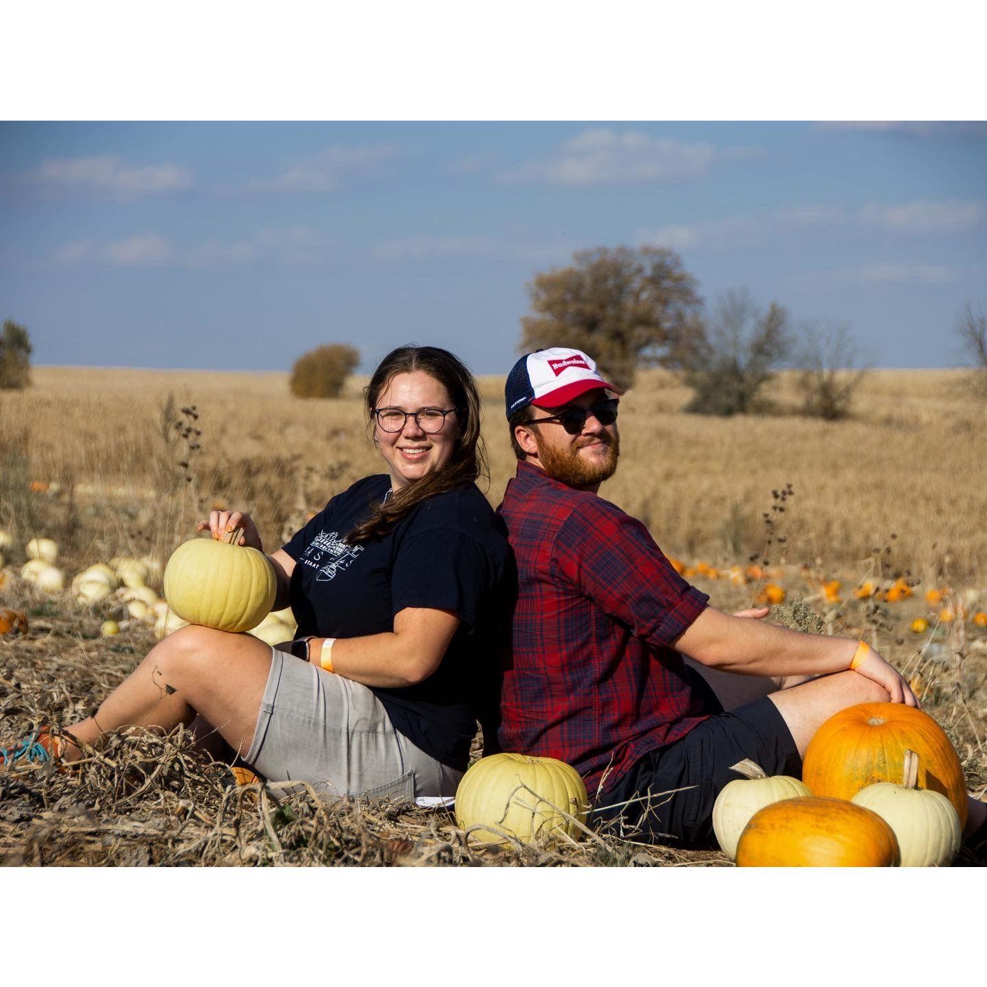 First pumpkin patch