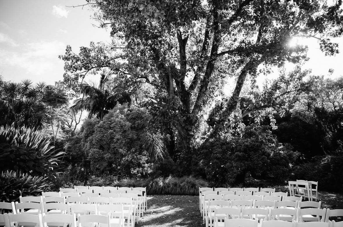 The Wedding Website of Hanna Lynzaat and Harry Tauber