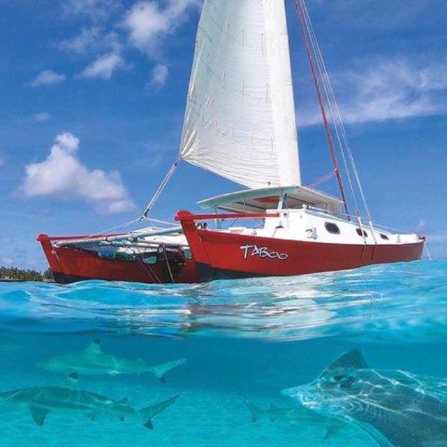 Half Day Tour : Moorea Snorkeling & Sailing on a Catamaran For 2