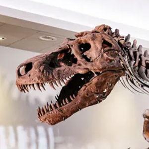 Field Museum Membership