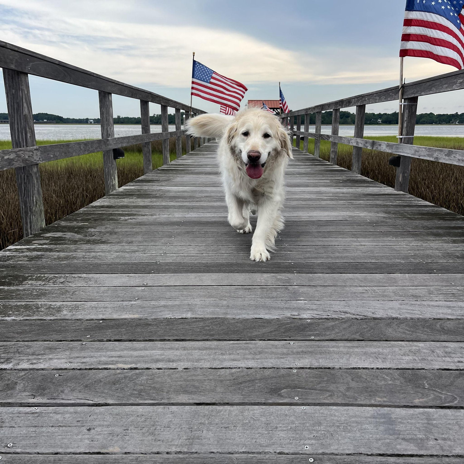 Our fearless leader on the 4th of July at the new condo!
