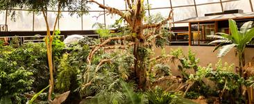 Reptile Gardens