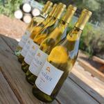 Casque Wines