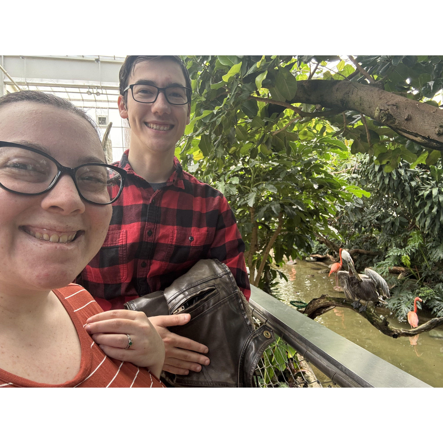 The rooms at the aviary are so much fun! Here we are with some flamingoes in the background.