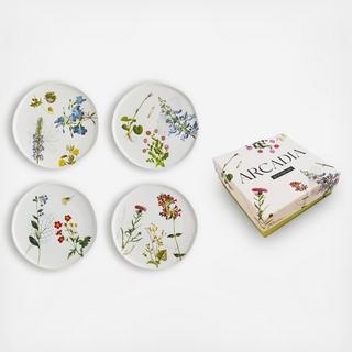 Arcadia Bread & Butter Plate, Set of 4